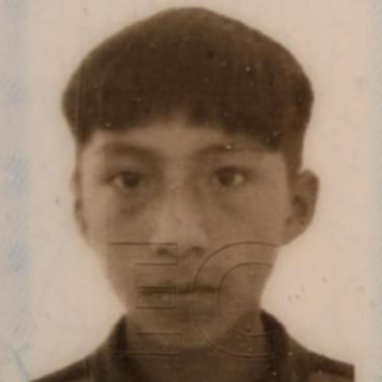 User Image
