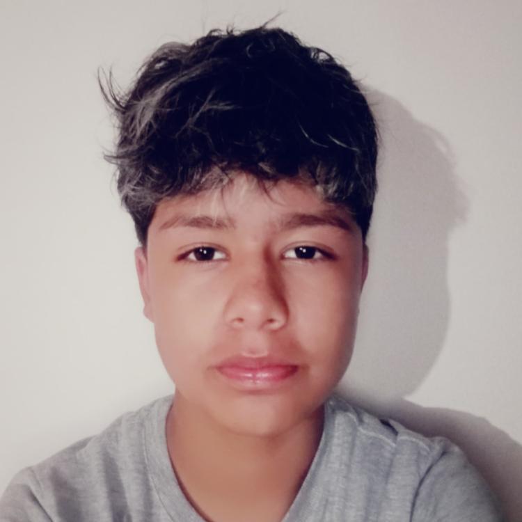 User Image